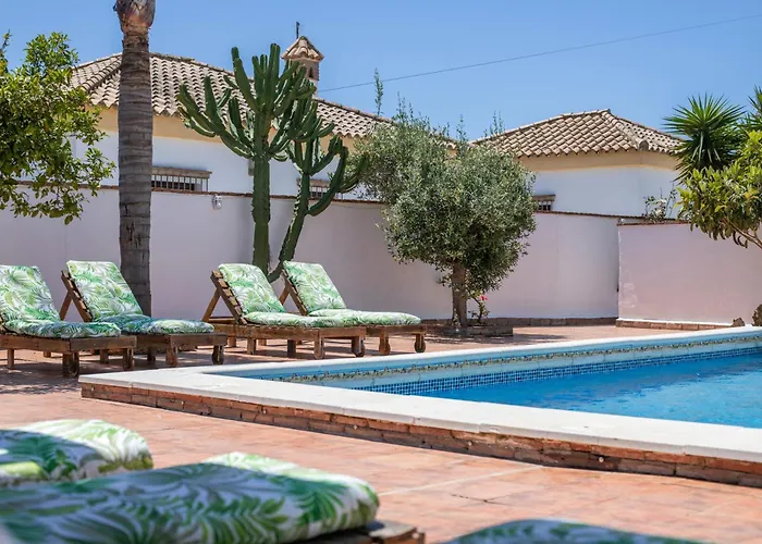 Mayo C Коніль-де-ла-Фронтера