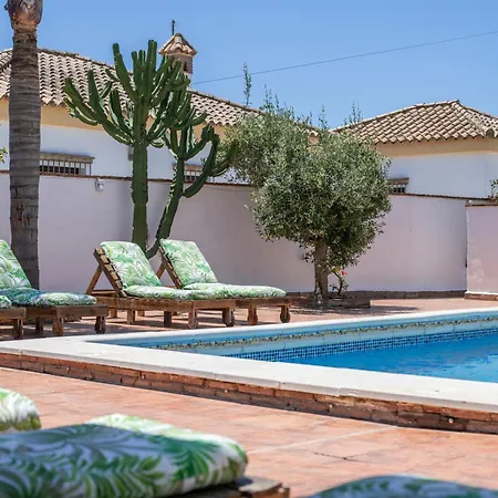 Mayo C Кониль-де-ла-Фронтера