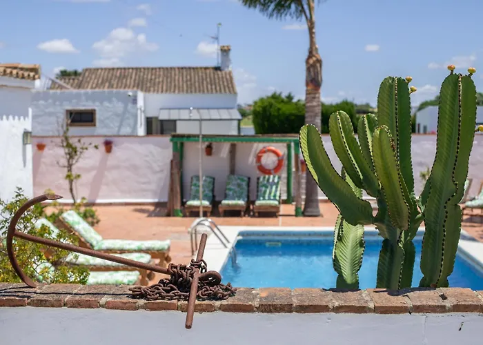 Mayo C * Conil De La Frontera